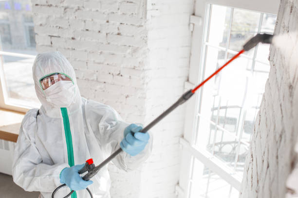 Best Mold Prevention Services  in Tryon, NC