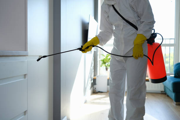 Best Water Damage & Mold Remediation  in Tryon, NC