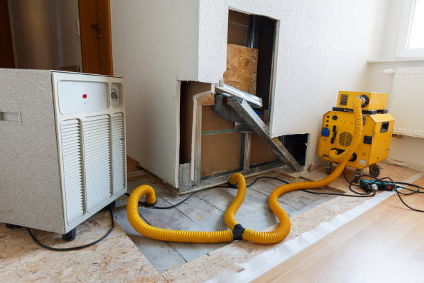 Tryon, NC Mold Removal Company