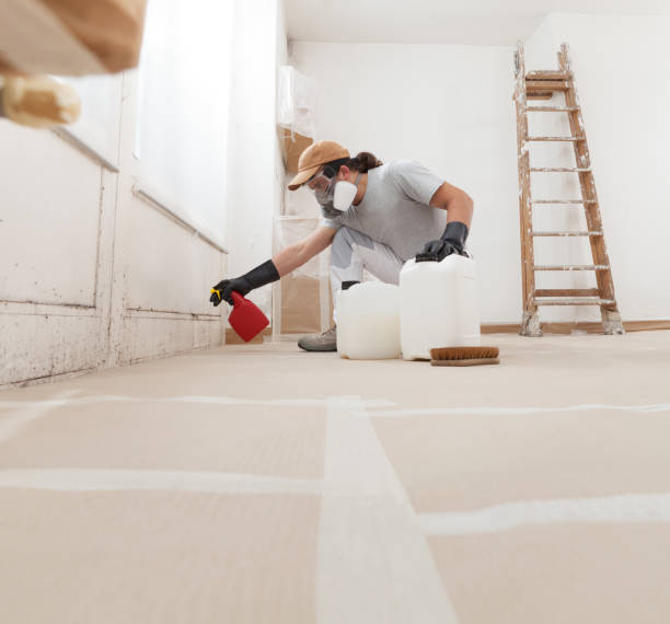 Mold Documentation for Insurance Claims in Tryon, NC