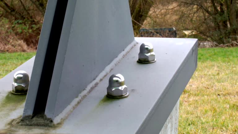  Tryon, NC Mold Removal Pros